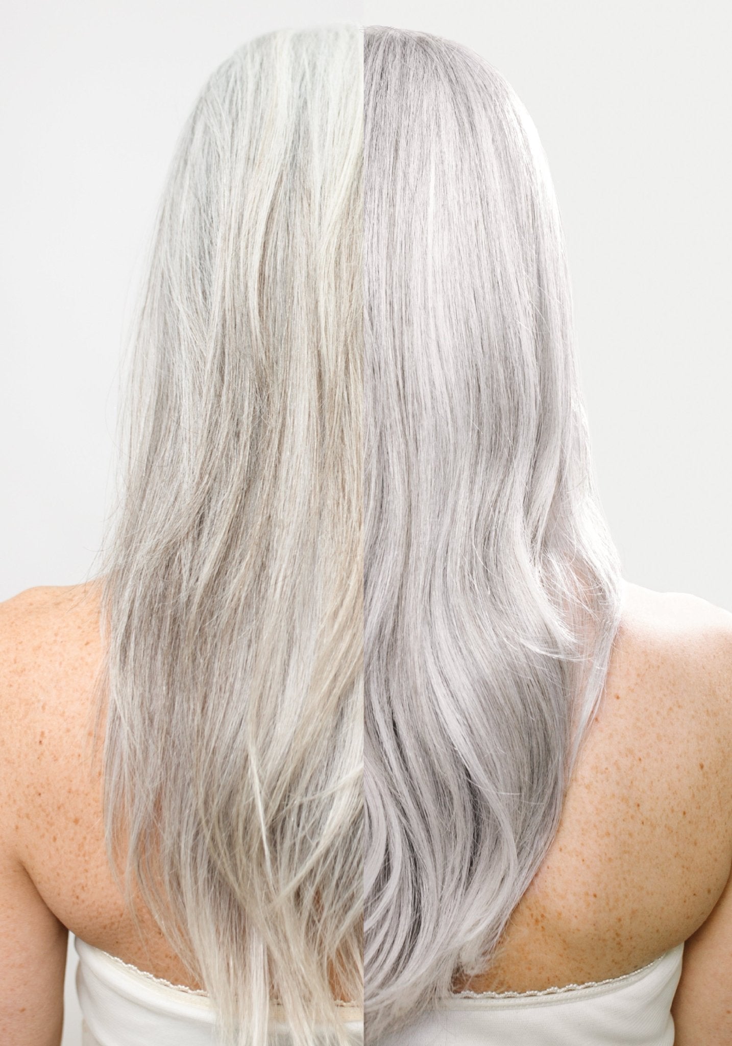 Silver Toning Bundle - La Puissânce Hair